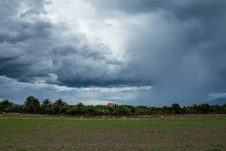 Weak and Irregular Monsoon Poses Risk to Kharif Crops
