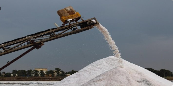 Government to Monitor Monthly Sugar Production Starting October