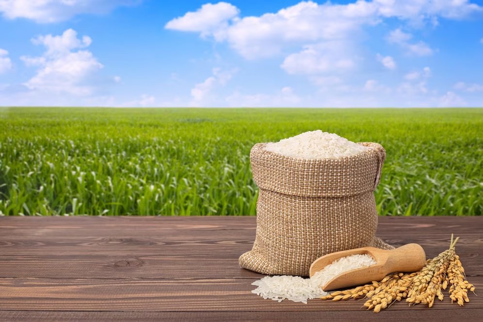 Weekly Review: Paddy and Rice