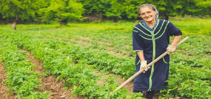 Decline of 1.35 lakh hectares in Kharif crop area in Gujarat