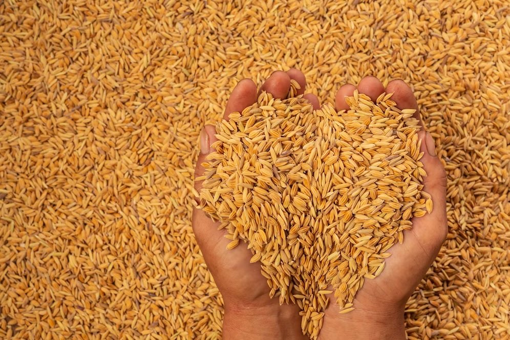 Wheat Imports in Pakistan Due to Depletion of Reserve Stocks