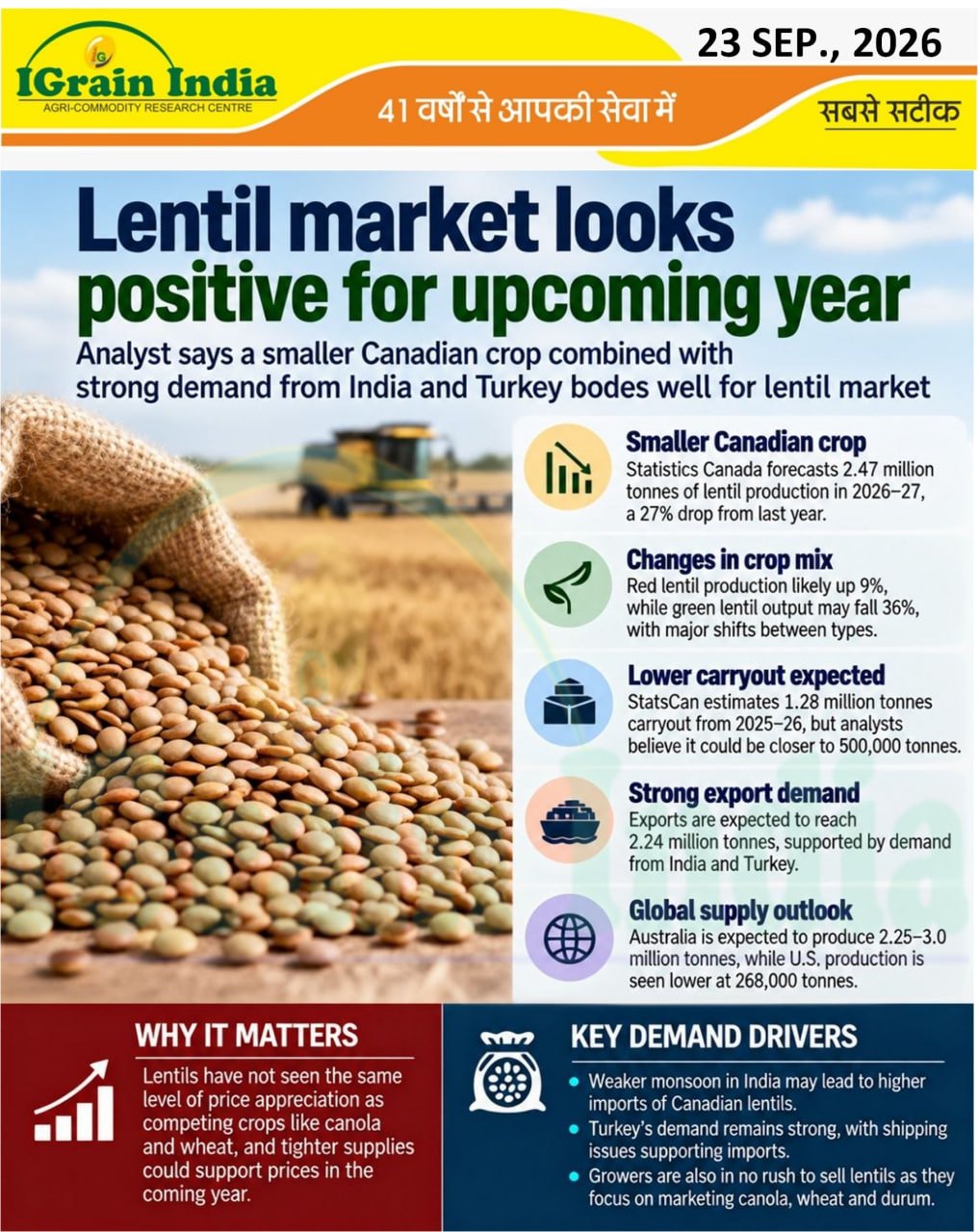 Lentil market looks positive for upcoming year