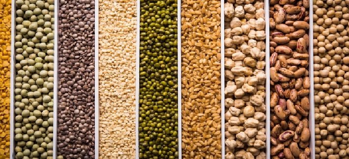 Pulse Import Policy to Remain Unchanged Until Rabi Season Outlook Becomes Clear