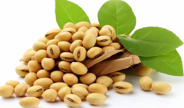 Soybean International News