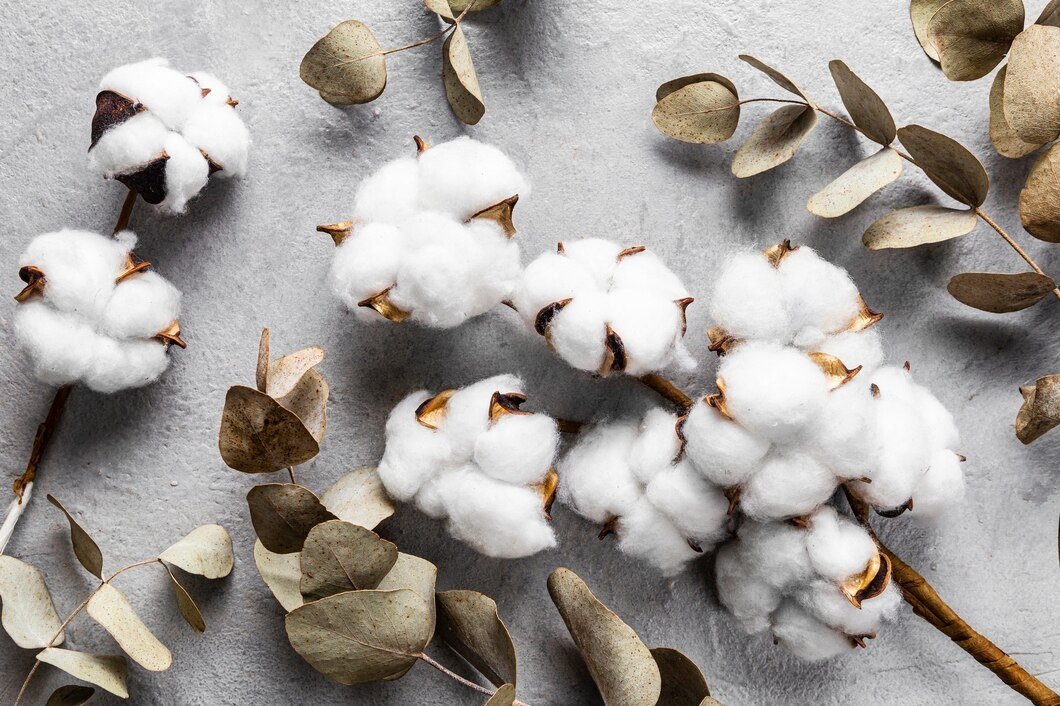 Cotton International News