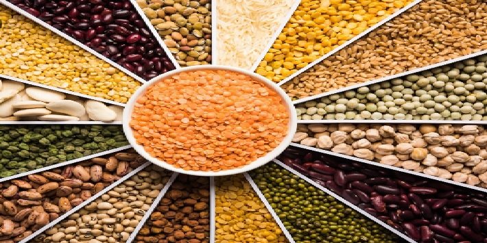 Significant Growth in Pulse Exports Alongside Imports