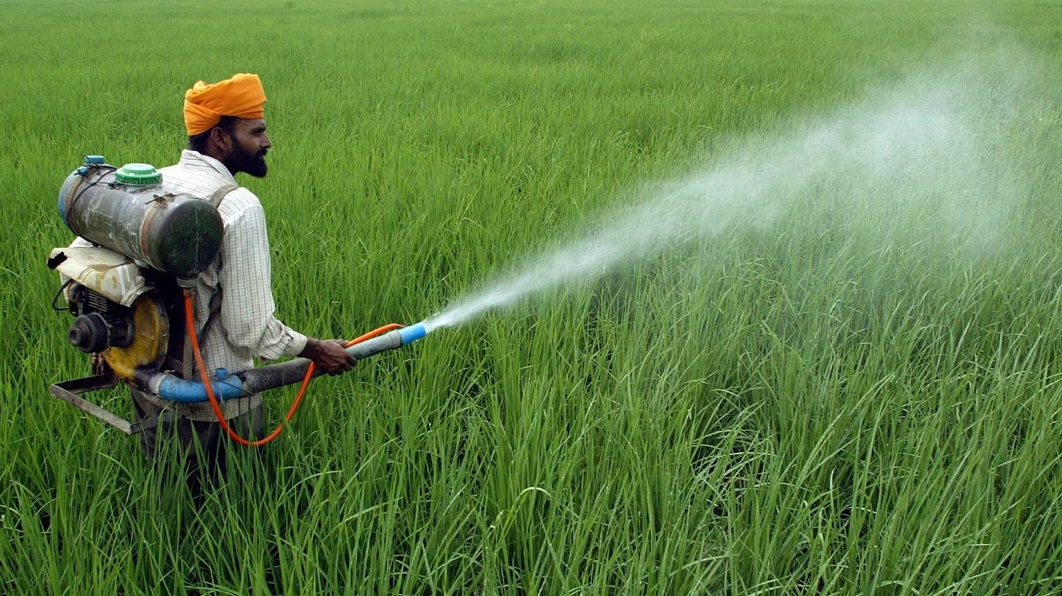 आगामी रबी सीजन में 350 लाख टन उर्वरक की मांग का अनुमान