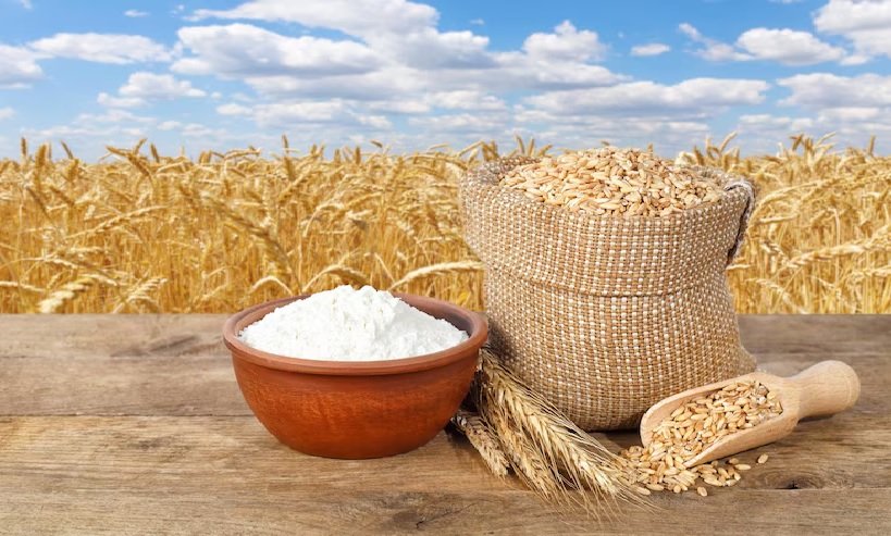 Possibility of Rising Demand for Indian Wheat in South Asia