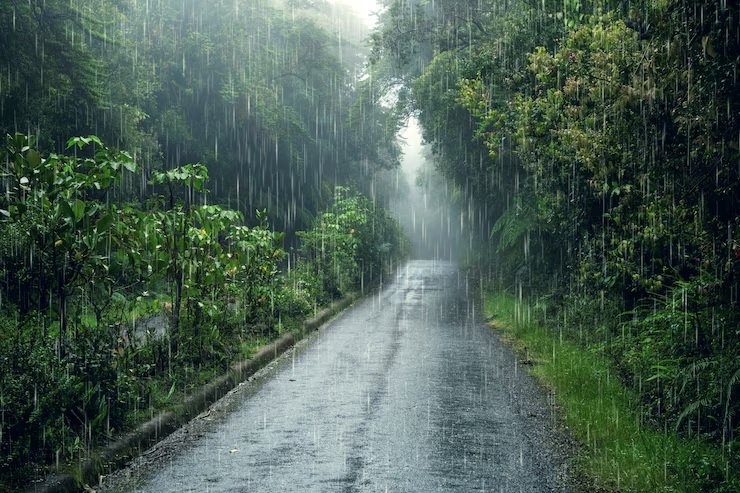Surge in Pacific Ocean Temperatures Boosts El Niño's Strength