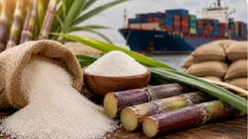 Free-Sale Sugar Quota of 14 Lakh Tonnes Fixed for the First 15 Days of October