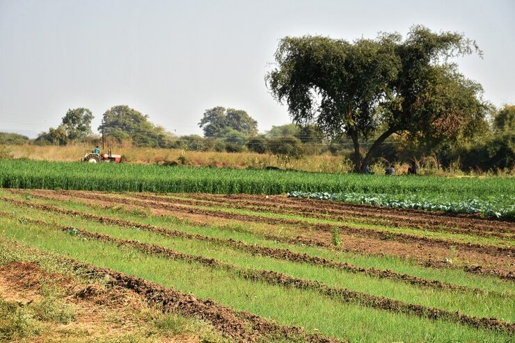Expected Increase in Acreage for Low-Water-Intensity Crops During Rabi Season