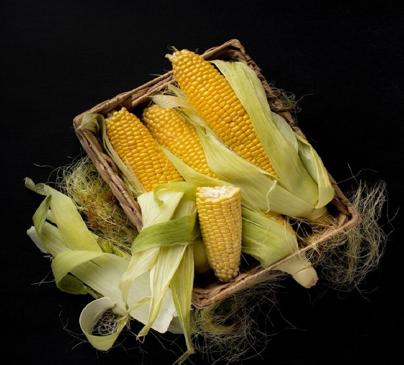 Corn International News