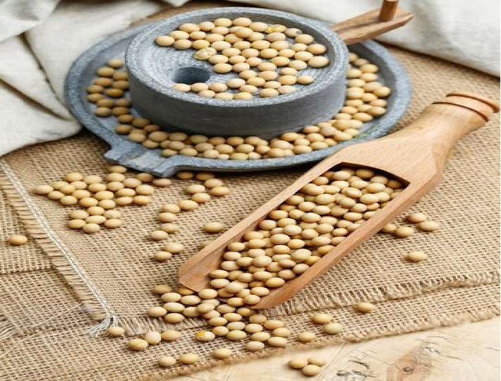 Soybean International News