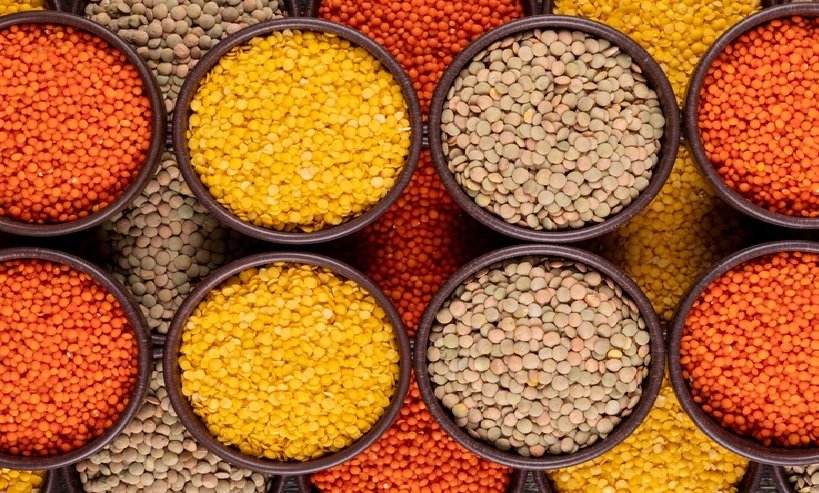 Weekly Pulses Price Report