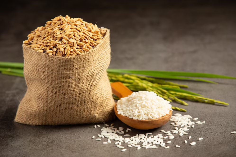 Weekly Review: Paddy and Rice