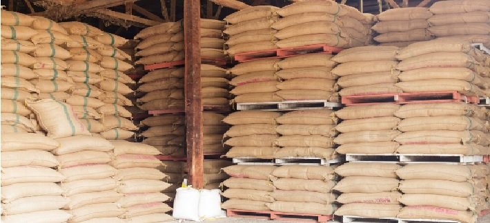 Global Rice Stocks Projected to Reach 737.3 Million Tonnes