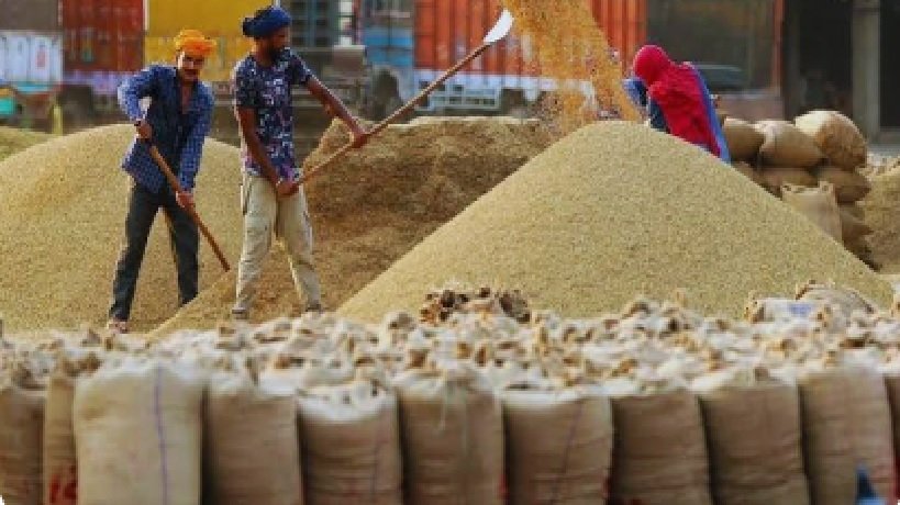 Paddy Piles Up in Punjab-Haryana Mandis; Lifting Pace Sluggish