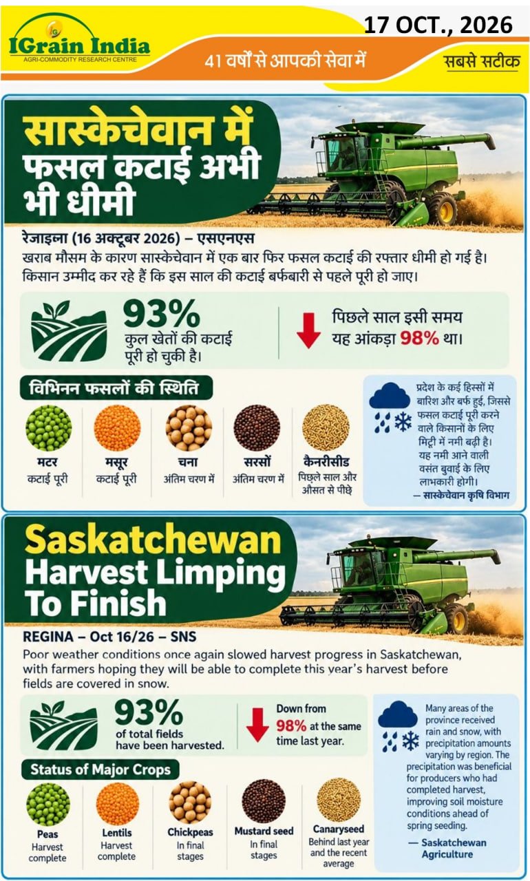 सस्केच्वान में फसल कटाई अभी भी धीमी/Saskatchewan Harvest Limping to finish
