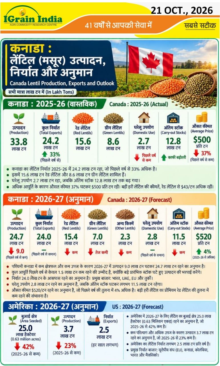 कनाडा मसूर उत्पादन, निर्यात और अनुमान