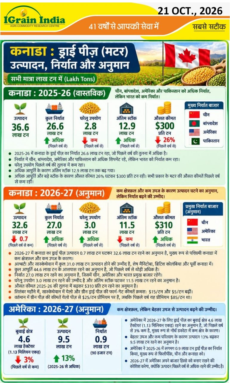 कनाडा मटर उत्पादन, निर्यात और अनुमान
