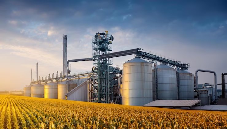 Distilleries Unhappy with Price Cut for Maize-Based Ethanol