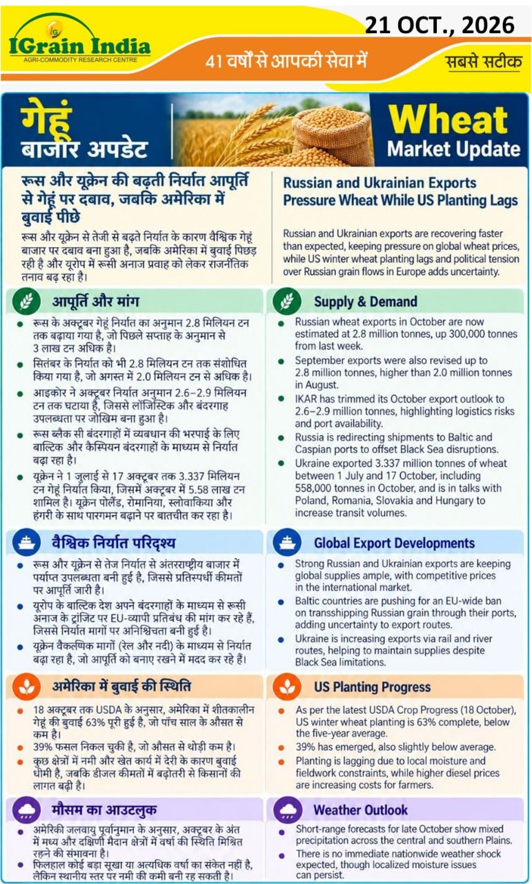 गेहूं बाजार अपडेट/WHEAT MARKET UPDATE