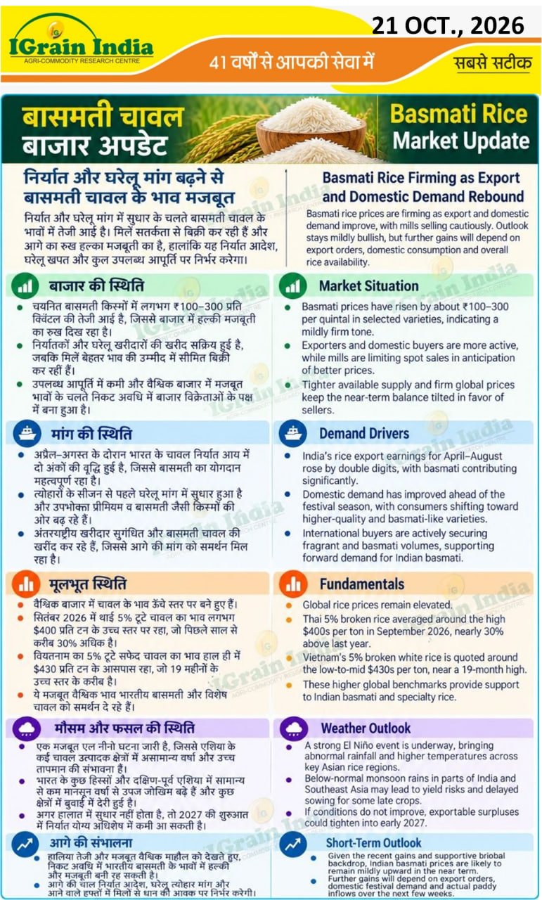 बासमती चावल बाजार अपडेट/BASMATI RICE MARKET UPDATE