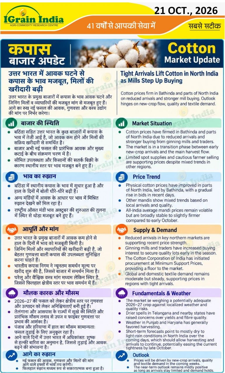 कपास बाजार अपडेट/KAPAS MARKET UPDATE