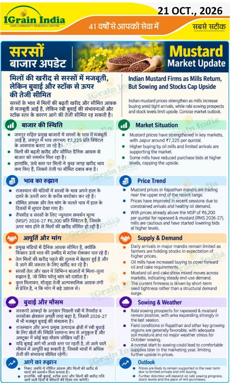 सरसों बाजार अपडेट/SARSON MARKET UPDATE