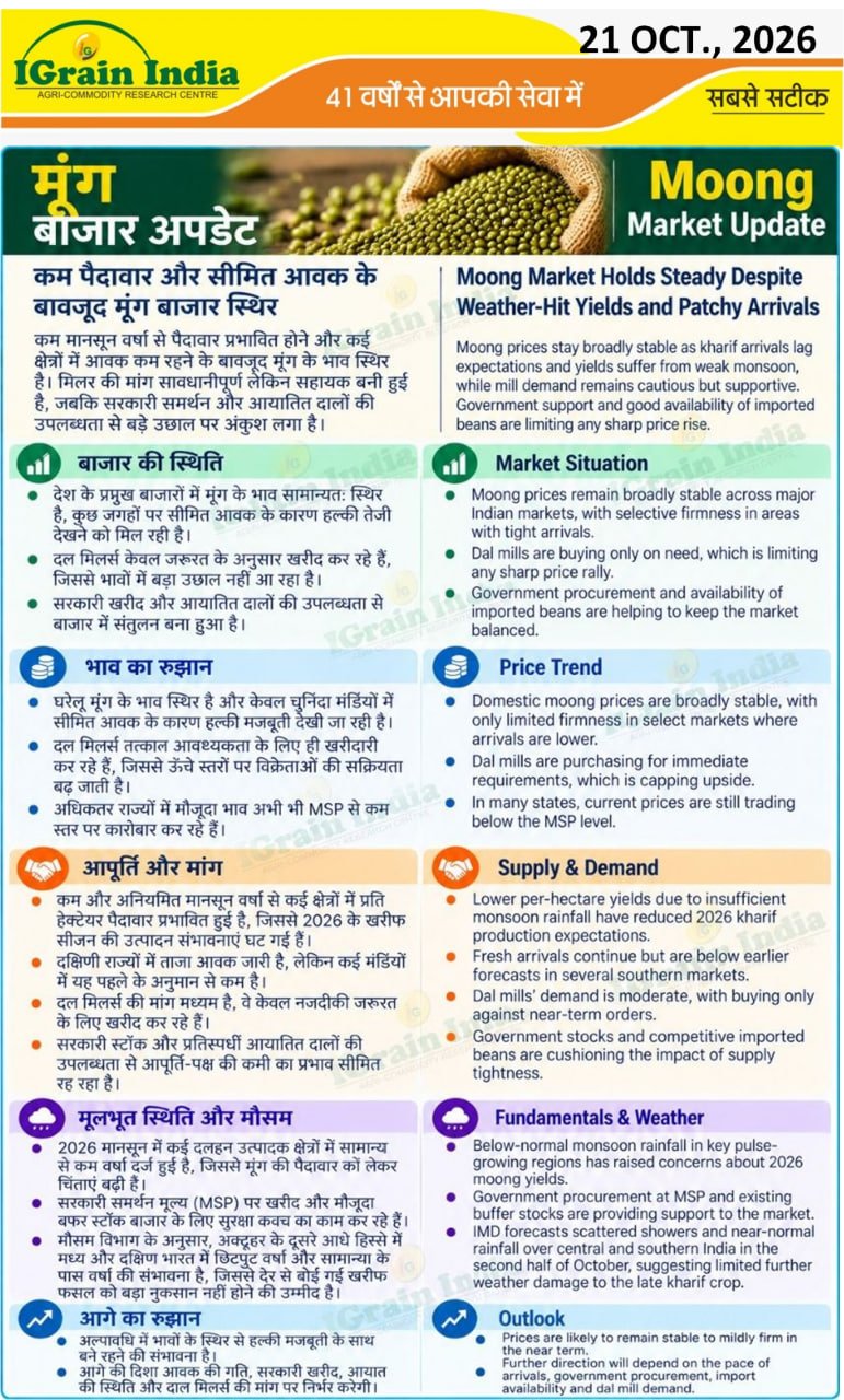 मूंग बाजार अपडेट/MOONG MARKET UPDATE