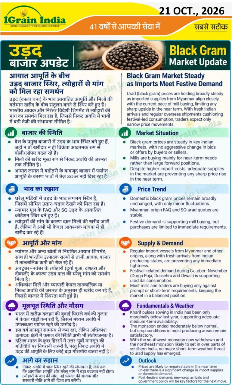 उड़द बाजार अपडेट/URAD MARKET UPDATE