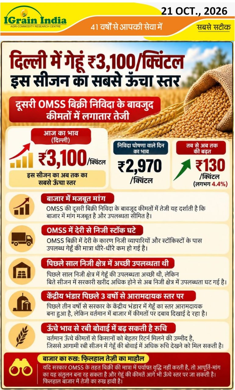 दिल्ली में गेहूं 3100 रुपए प्रति क्विंटल इस सीजन का सबसे ऊंचा स्तर