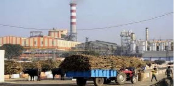 Sugarcane Farmers' Protest in Karnataka Suspended