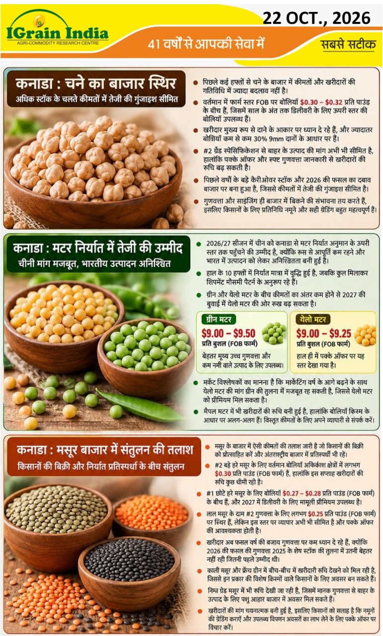 कनाडा दलहन बाजार