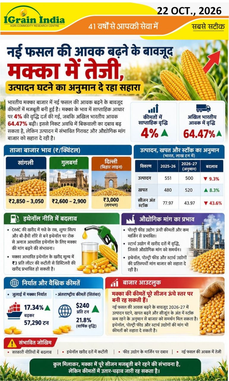 नई फसल के आवक बढ़ने के बावजूद मक्का में तेजी