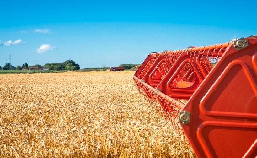 Wheat International News