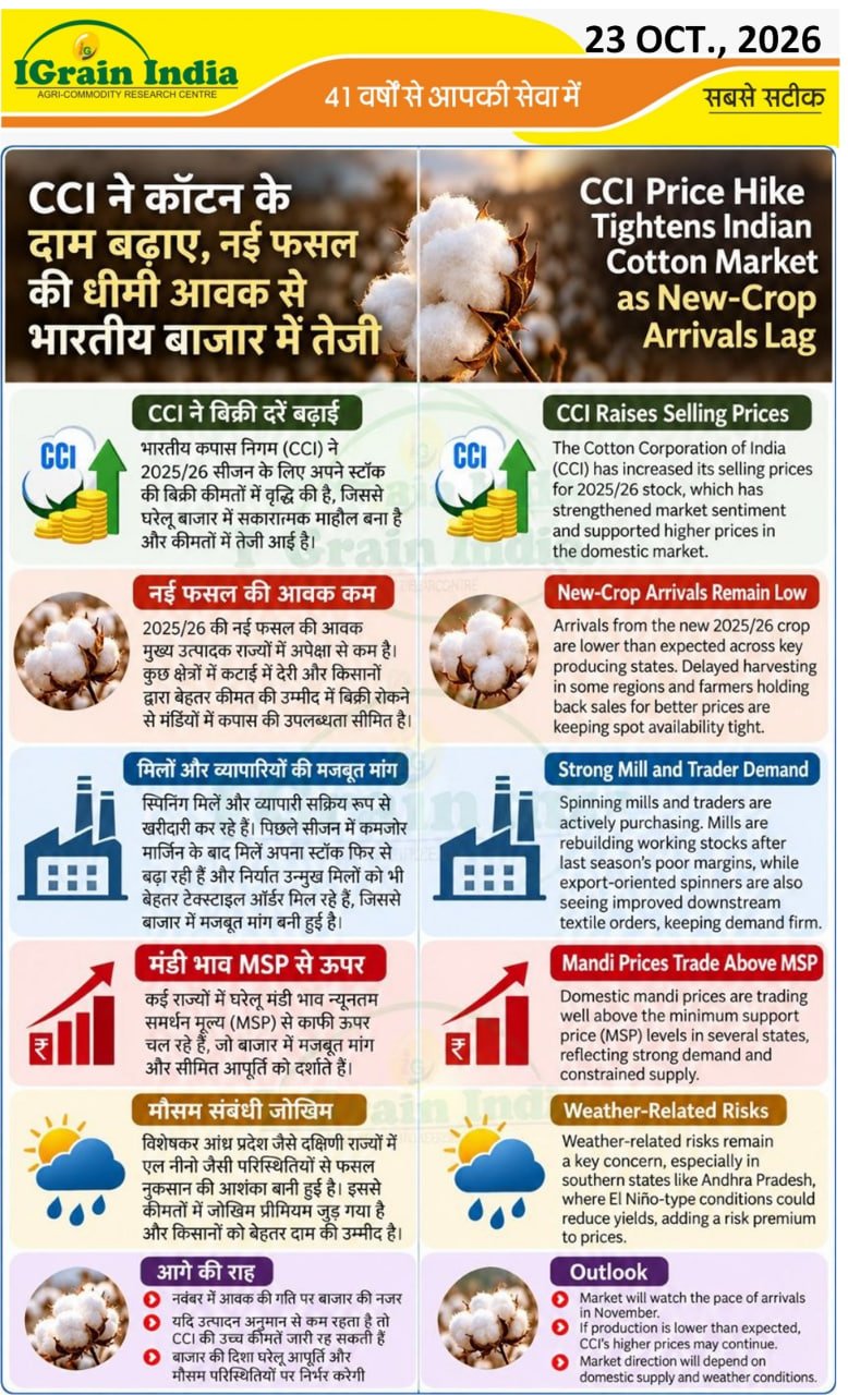 CCI ने कॉटन के दाम बढ़ाए, नई की धीमी आवक से भारतीय बाजार में तेजी