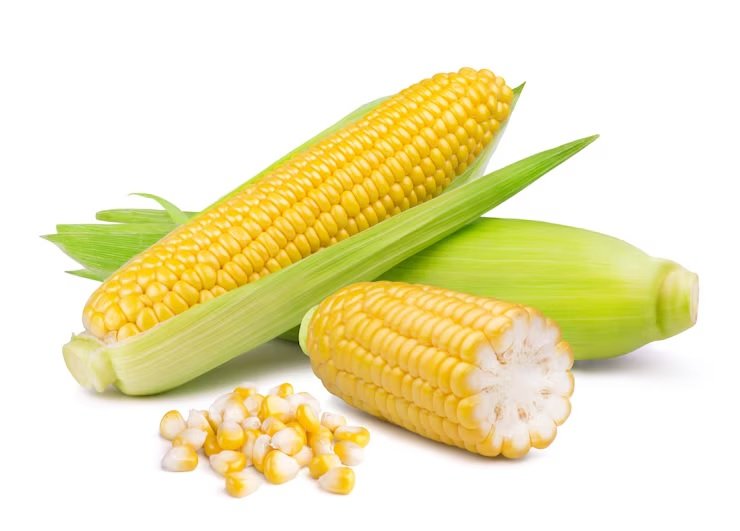Maize Prices Expected to Remain Firm Amid Concerns Over Production Decline