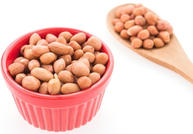 Significant Decline in Groundnut Production Expected in Gujarat