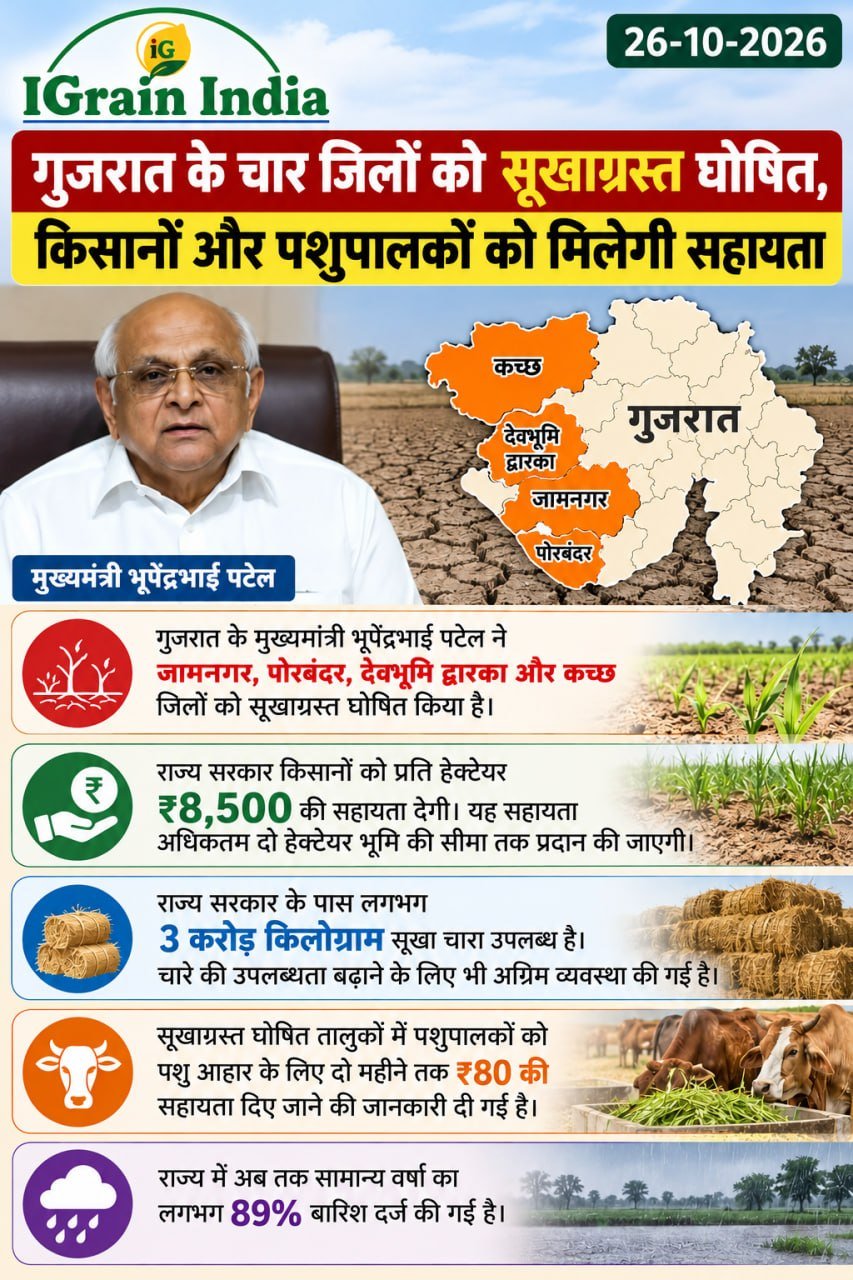 गुजरात के चार जिलों को सूखाग्रस्त घोषित, किसानों और पशुपालकों को मिलेगी सहायता