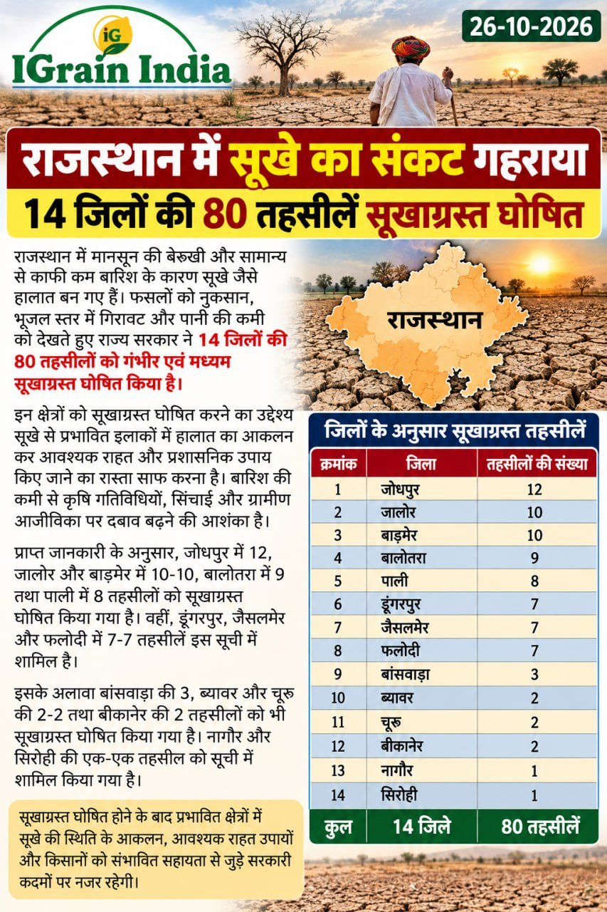 राजस्थान में सूखे का संकट गहराया, 14 जिलों की 80 तहसीलें सूखाग्रस्त घोषित