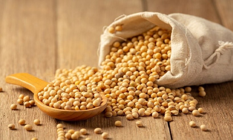 Expectations of Increased Soybean Imports Due to High Domestic Market Prices
