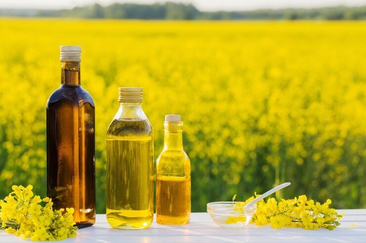 Slow Sowing of Mustard Raises Concerns